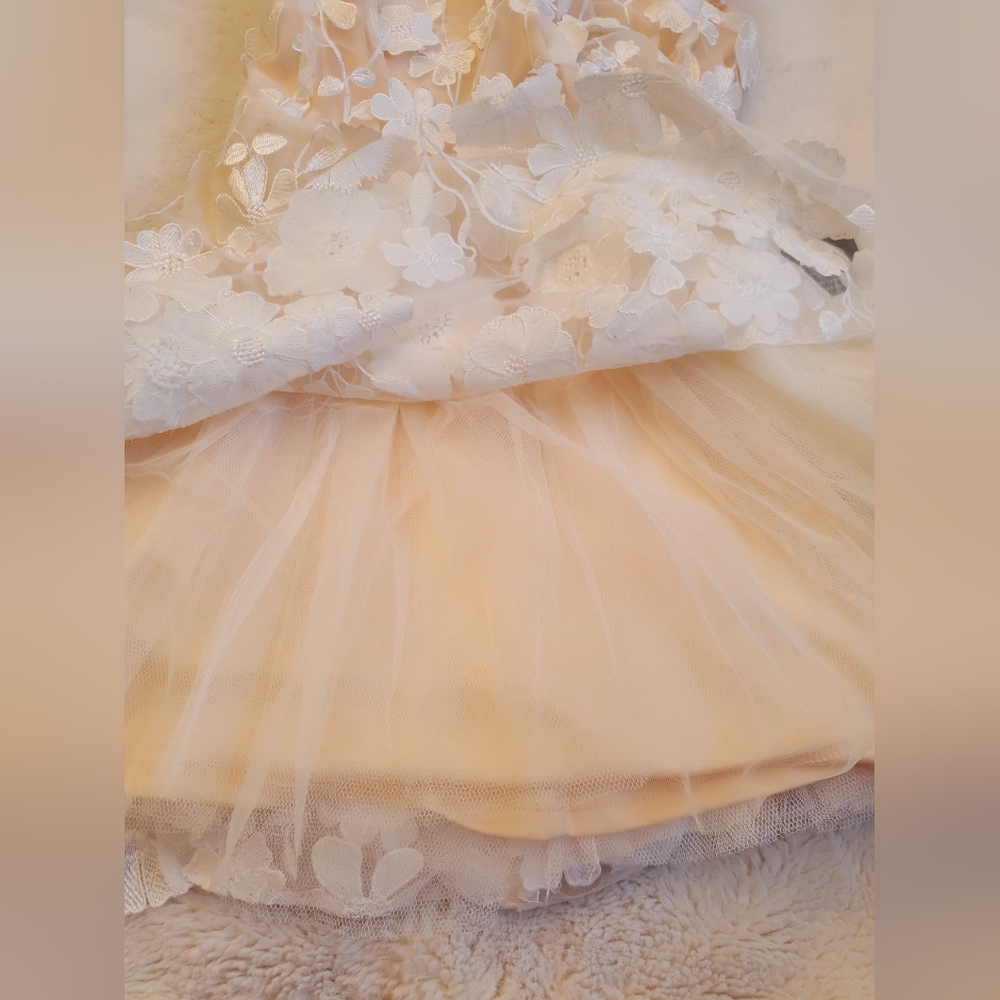 New Lulus Divine Intentions 3D Floral Embroidered Skater Dress Size Small - Picture 11 of 14
